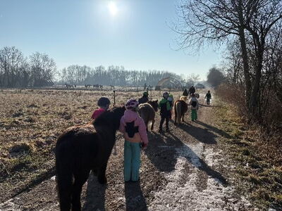 Kinder führen Ponys auf einem Feldweg