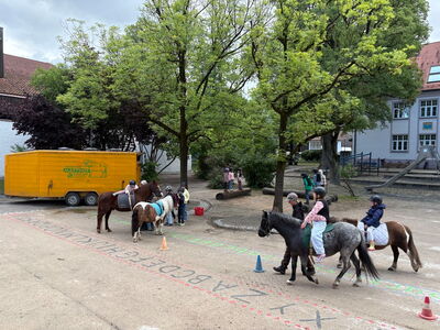 Vier Ponys der Reitschule Matthof auf dem Pausenhof