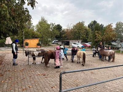 Kinder striegel gemeinsam Ponys auf einem Putzplatz