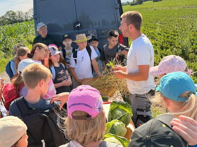 Schulkinder stehen auf einem Feld und begutachten Wirsing