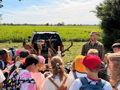 Schulkinder stehen auf einer Wiese und begutachten Tierpräparate