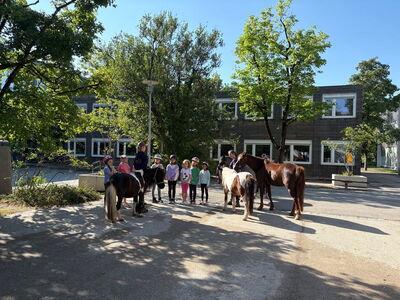 Vier Ponys vom Matthof auf dem Schulgelände zu Besuch
