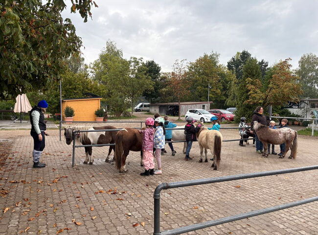 Schüler streicheln und bürsten die Ponys