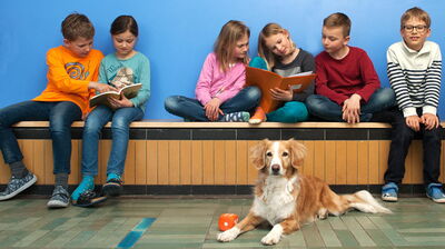 Lernen in Gemeinschaft