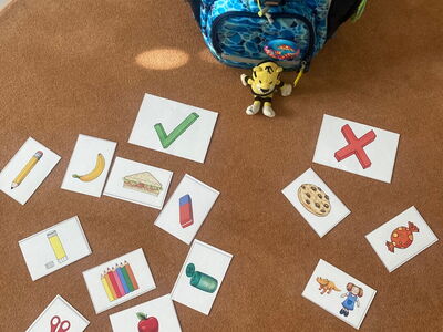Kärtchen mit bunten Schulgegenständen liegen auf einem Teppich