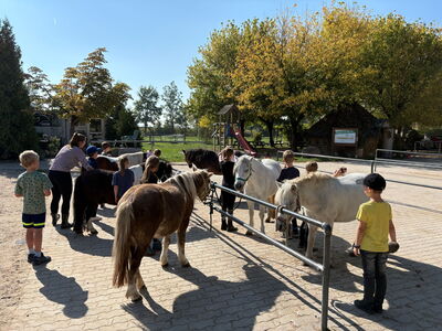 Kinder stehen gemeinsam mit Ponys auf einem Putzplatz